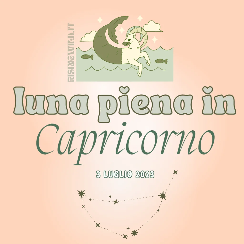 luna piena in capricorno, post di instagram dal profilo @wewilders