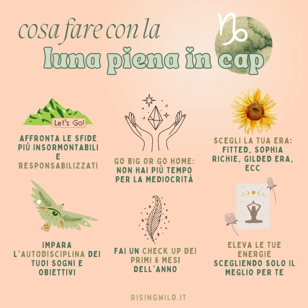 luna piena in capricorno, post di instagram dal profilo @wewilders